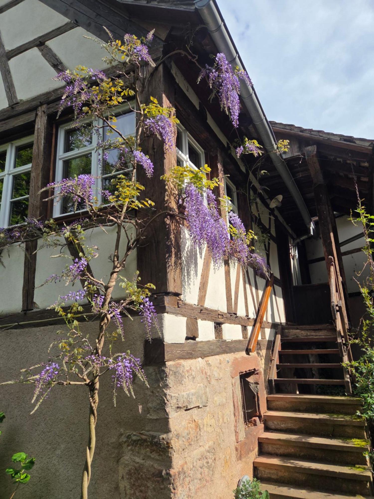 Villa Le Temps Des Cigognes Barr Exterior foto