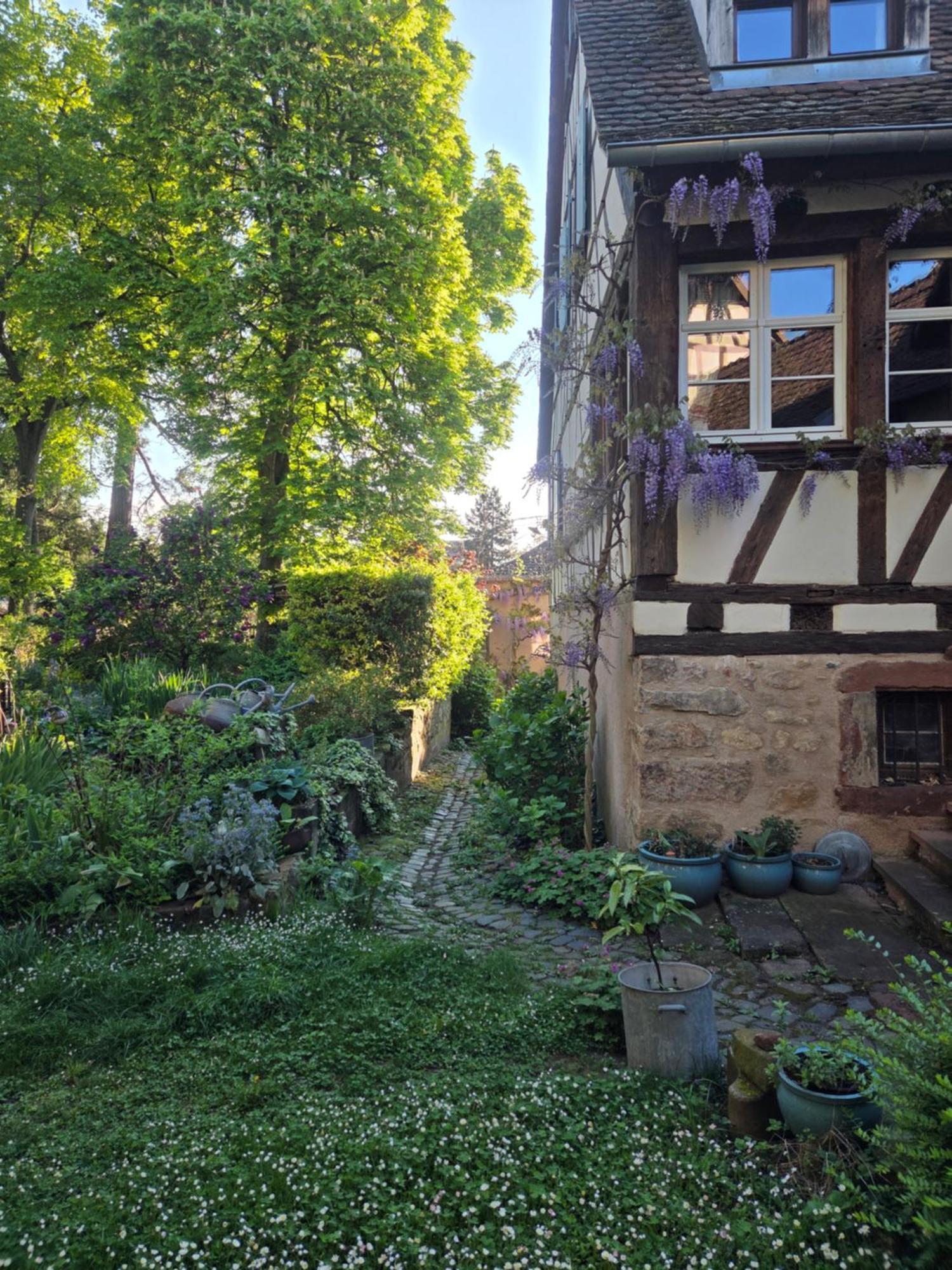 Villa Le Temps Des Cigognes Barr Exterior foto