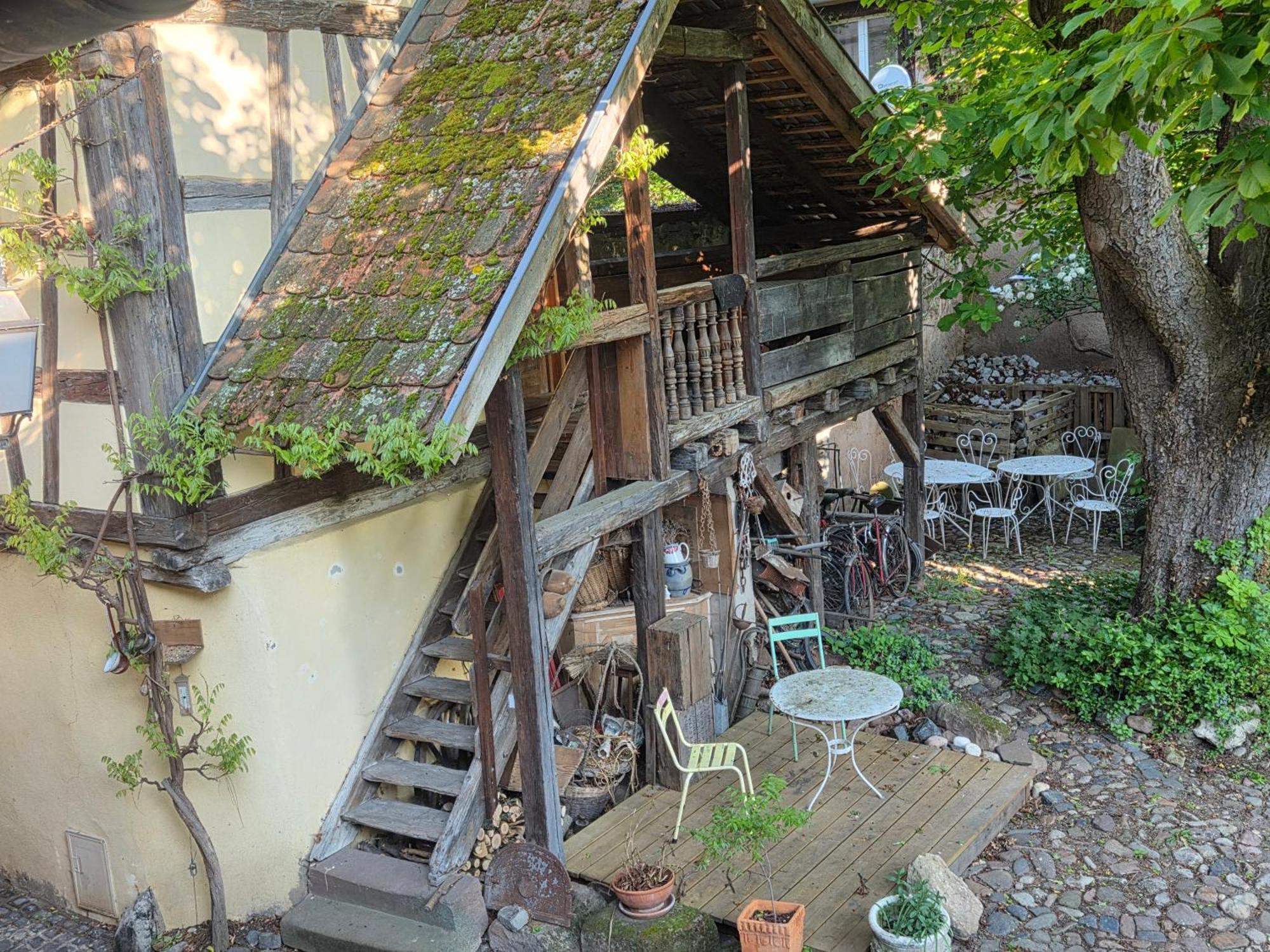 Villa Le Temps Des Cigognes Barr Exterior foto