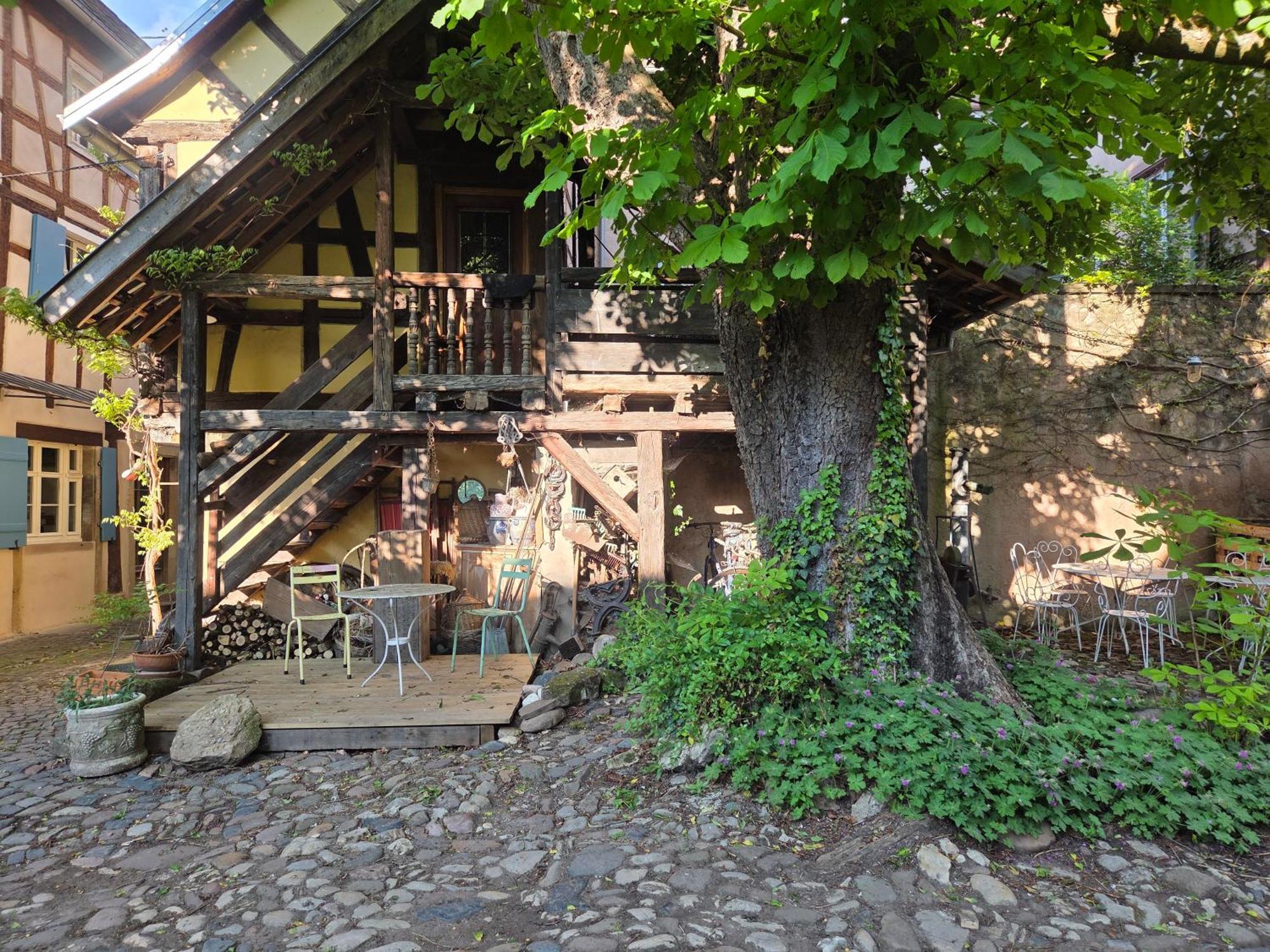 Villa Le Temps Des Cigognes Barr Exterior foto