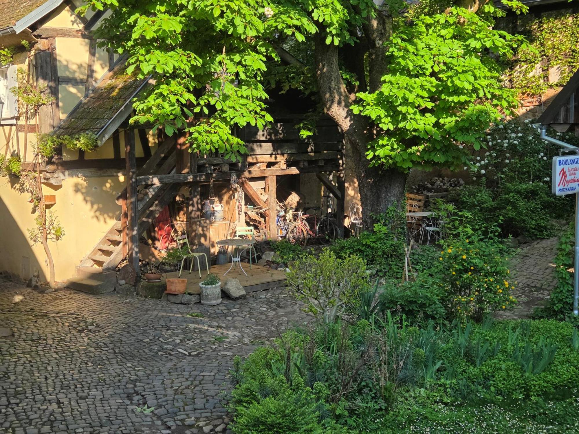 Villa Le Temps Des Cigognes Barr Exterior foto