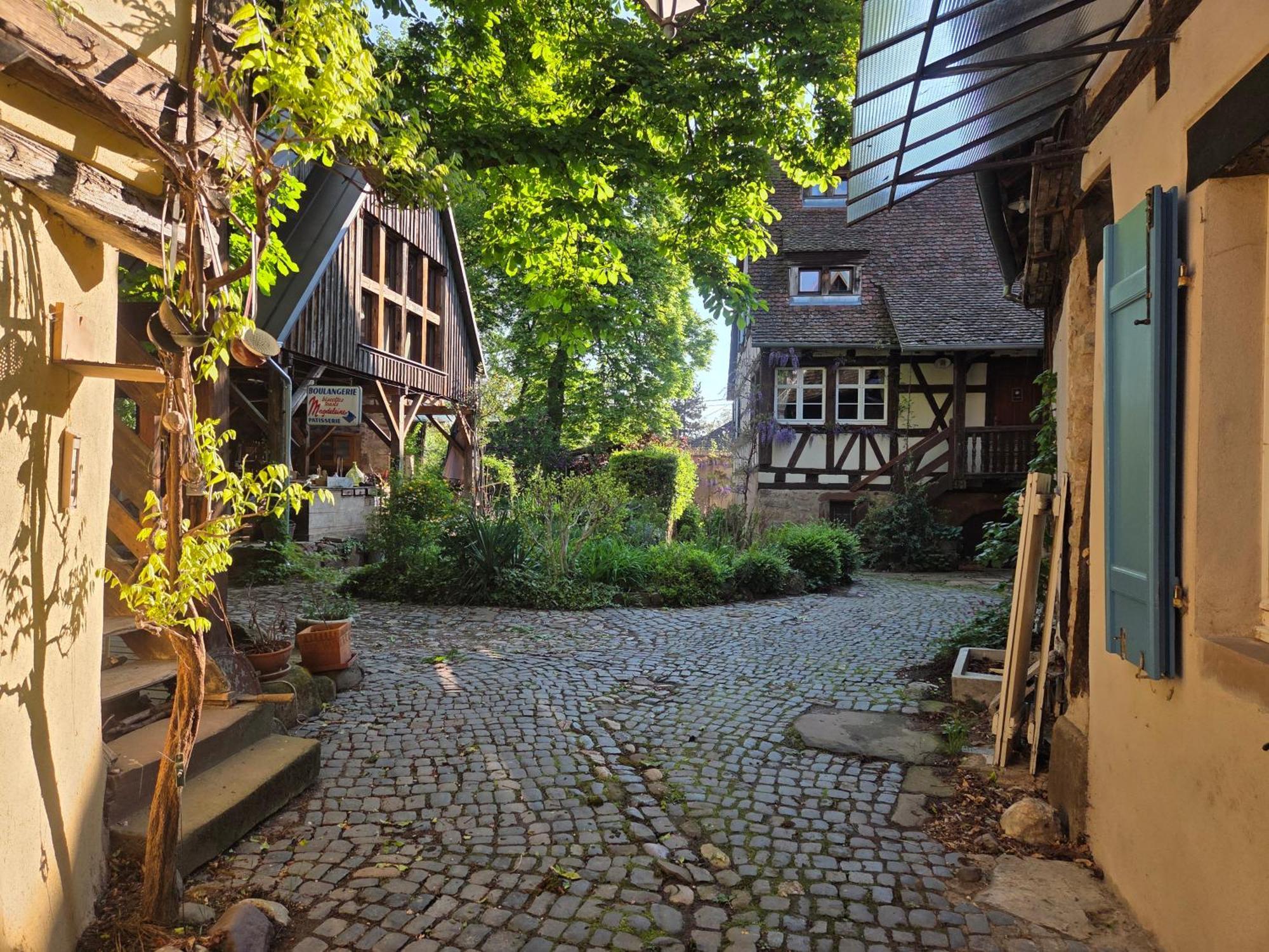 Villa Le Temps Des Cigognes Barr Exterior foto