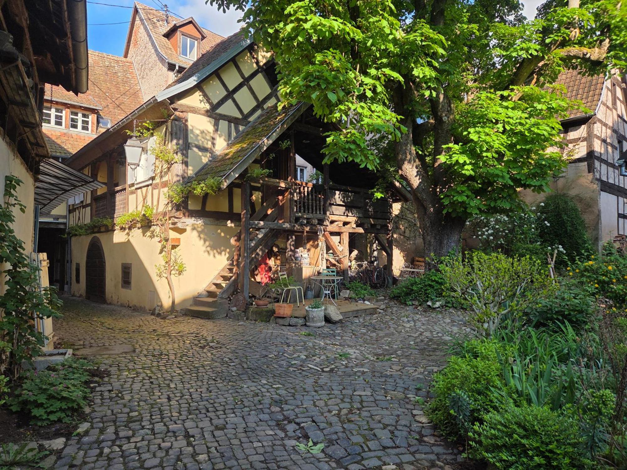 Villa Le Temps Des Cigognes Barr Exterior foto