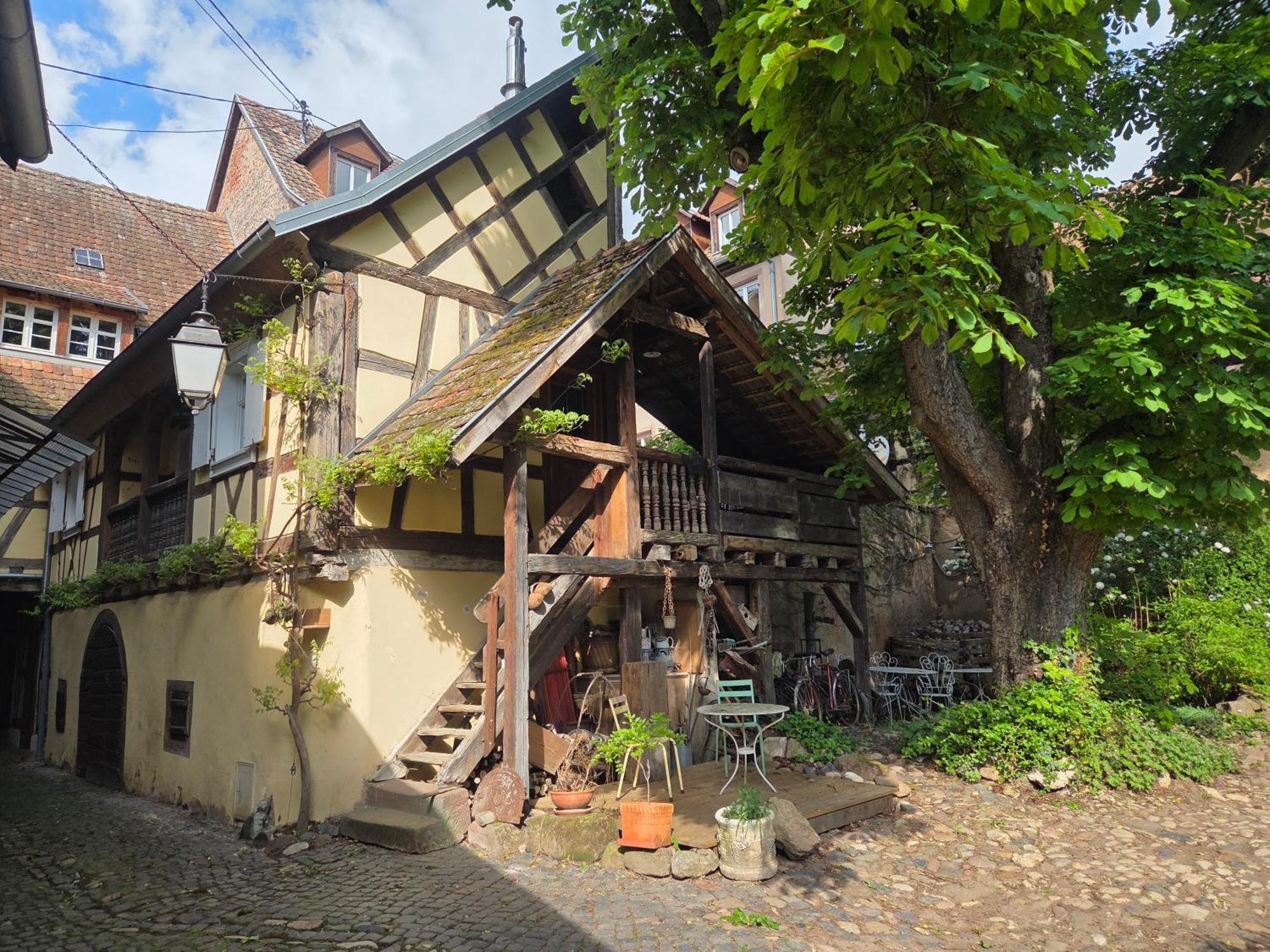 Villa Le Temps Des Cigognes Barr Exterior foto